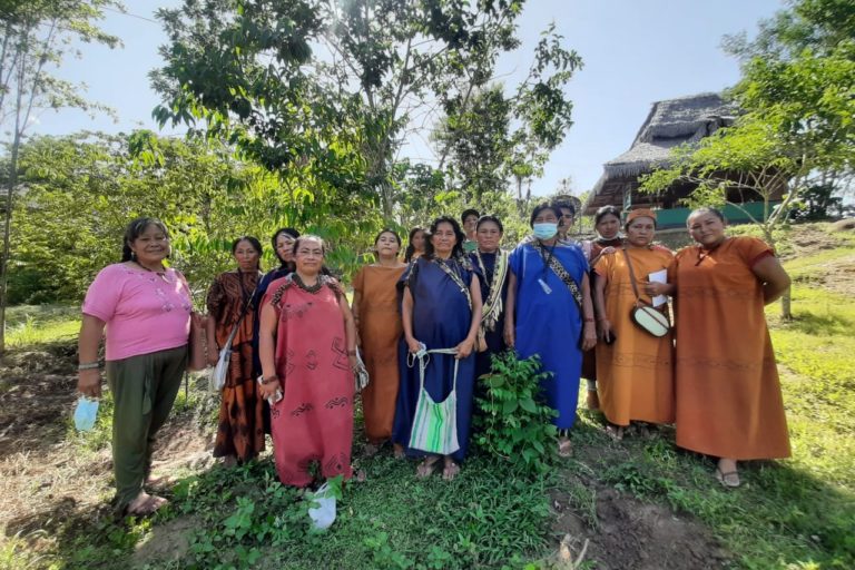 Mujeres de 20 pueblos indígenas de la Amazonía Peruana crearon un manual, huertos y una farmacia indígena para atender enfermedades como el COVID-19. Foto: Programa Mujer de Aidesep