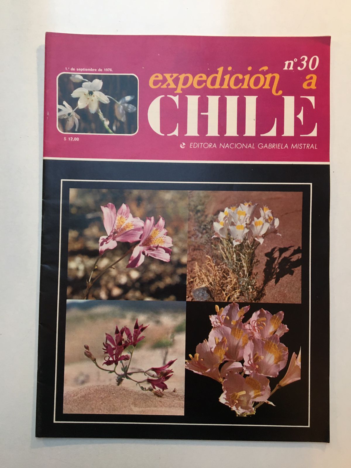 Revista Expedición a Chile @José Allard 6