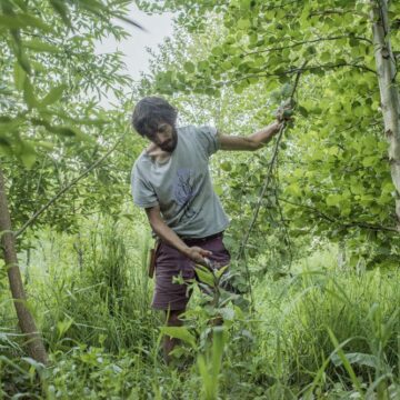 Entrevista| Abundancia Siempreverde: un documental que ahonda en bosques comestibles y regeneración