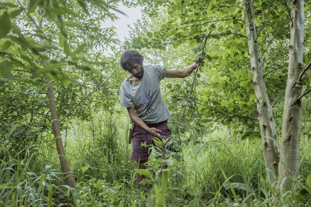 Entrevista| Abundancia Siempreverde: un documental que ahonda en bosques comestibles y regeneración