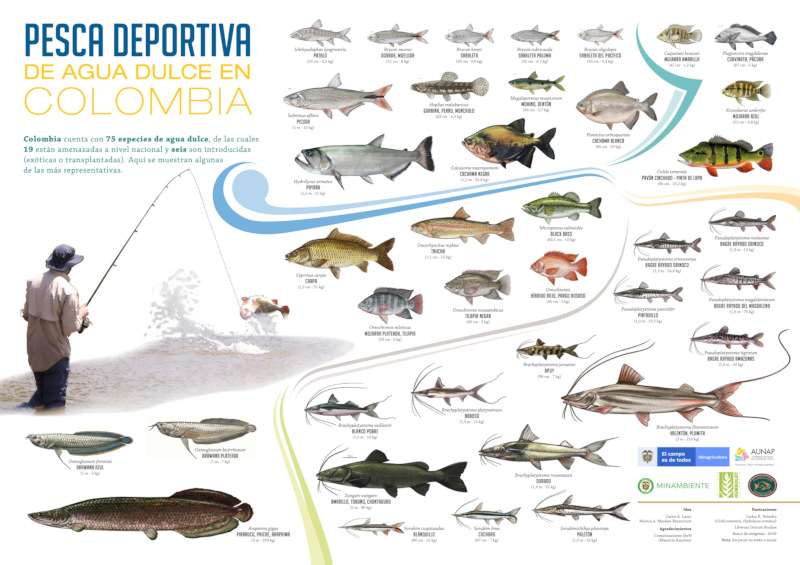 Afiche Pesca Deportiva Instituto Humboldt