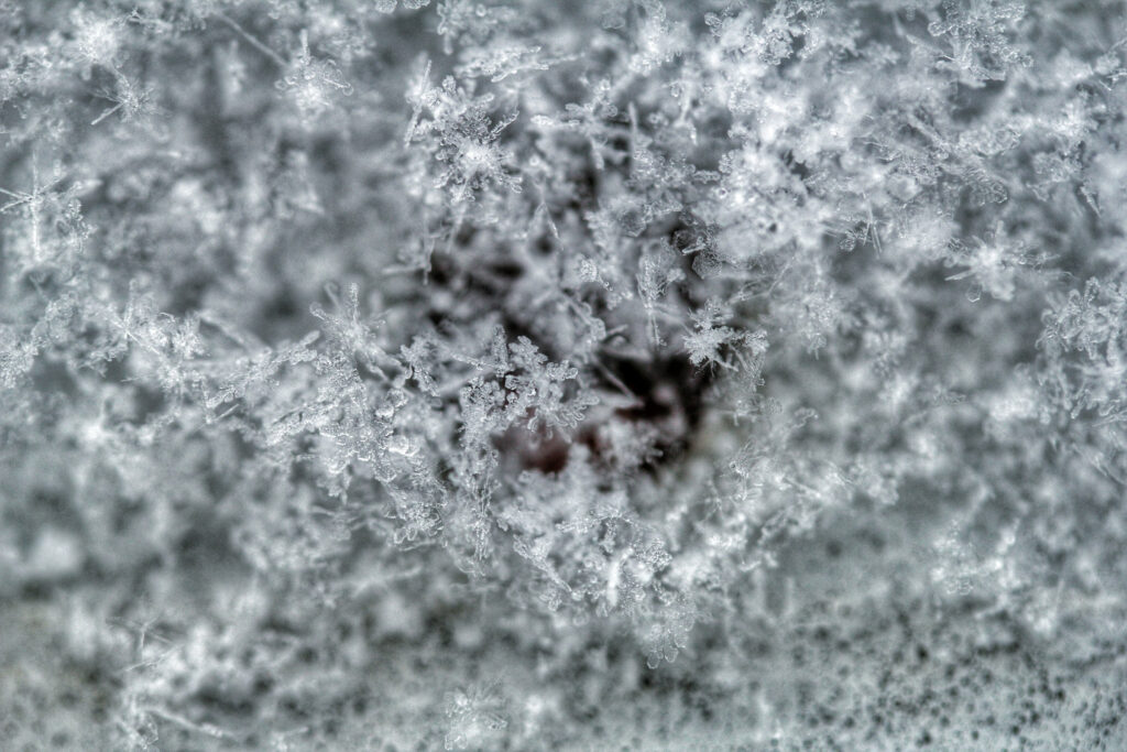 Cristales de nieve. Créditos a Dominika Gregusova/Pexels