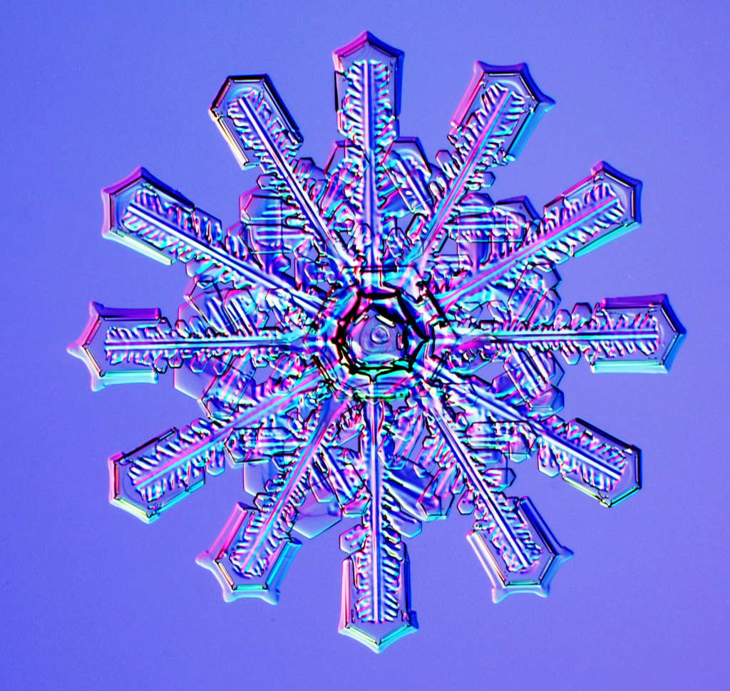Cristales de nieve caídos en invierno. Créditos a K. Libbrecht, descargados de snowcrystals.com.
