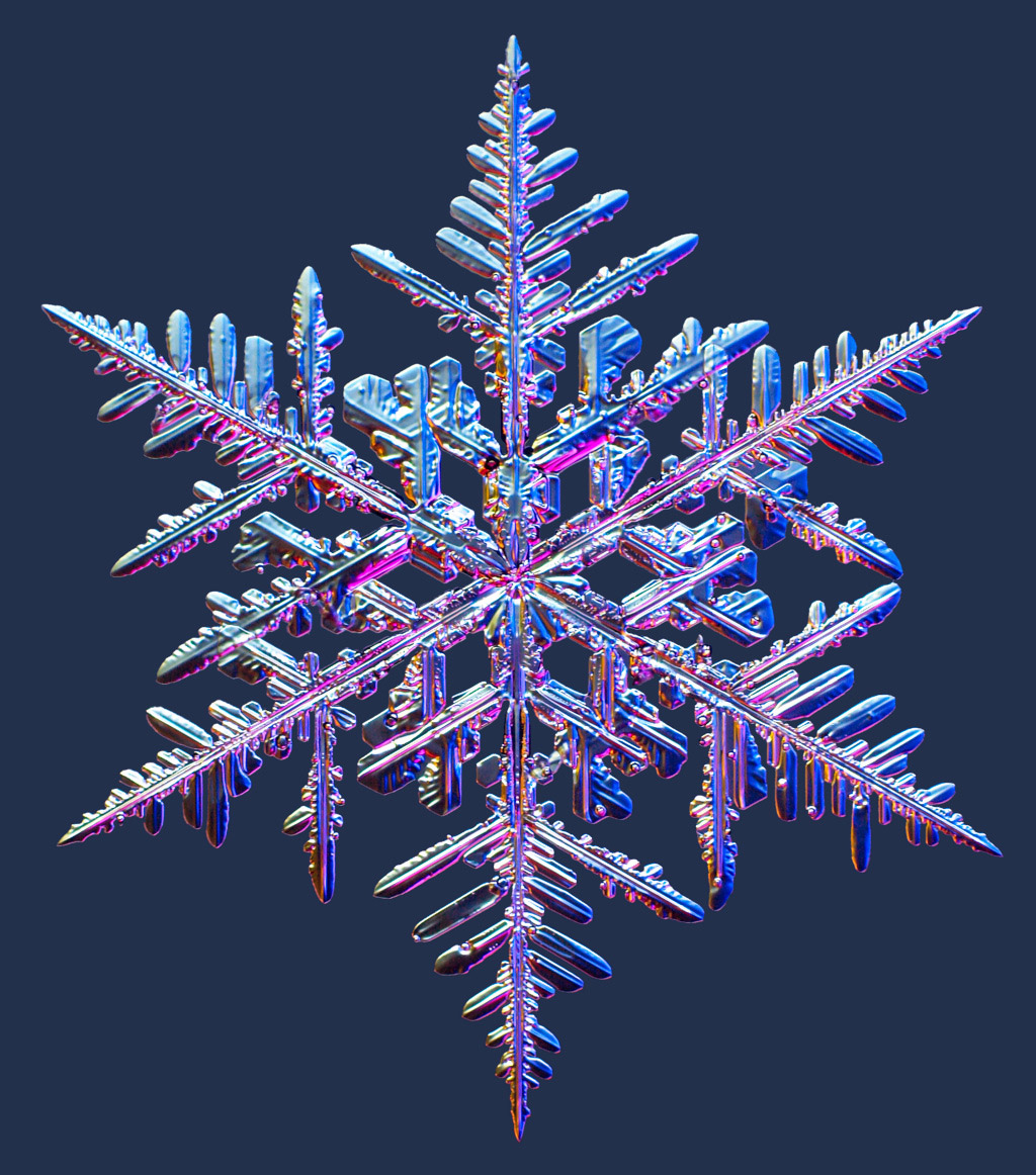 Cristales de nieve caídos en invierno. Créditos a K. Libbrecht, descargados de snowcrystals.com.