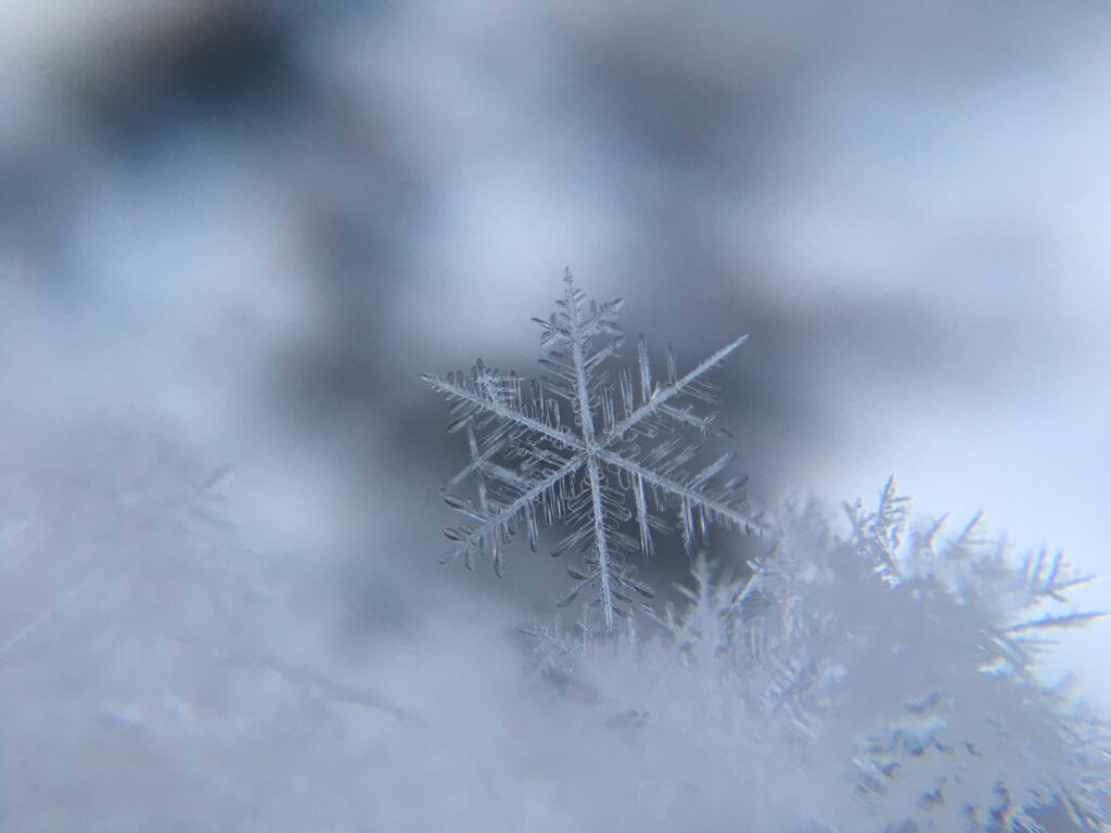 Cristal de nieve. Créditos a Damian McCoig/Unplash
