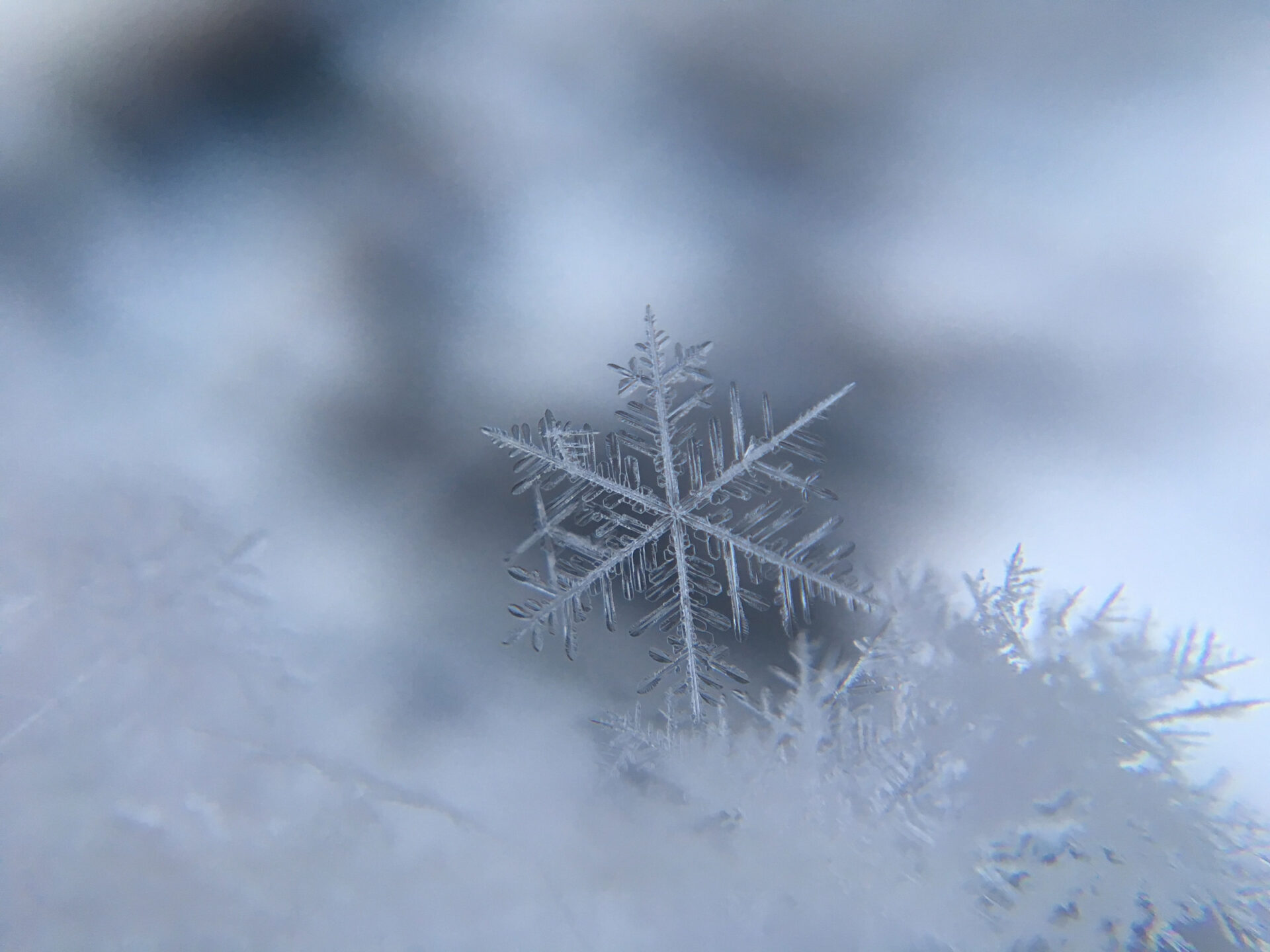 Nunca dejan de sorprender: una aproximación a los copos de nieve, donde no hay uno igual a otro