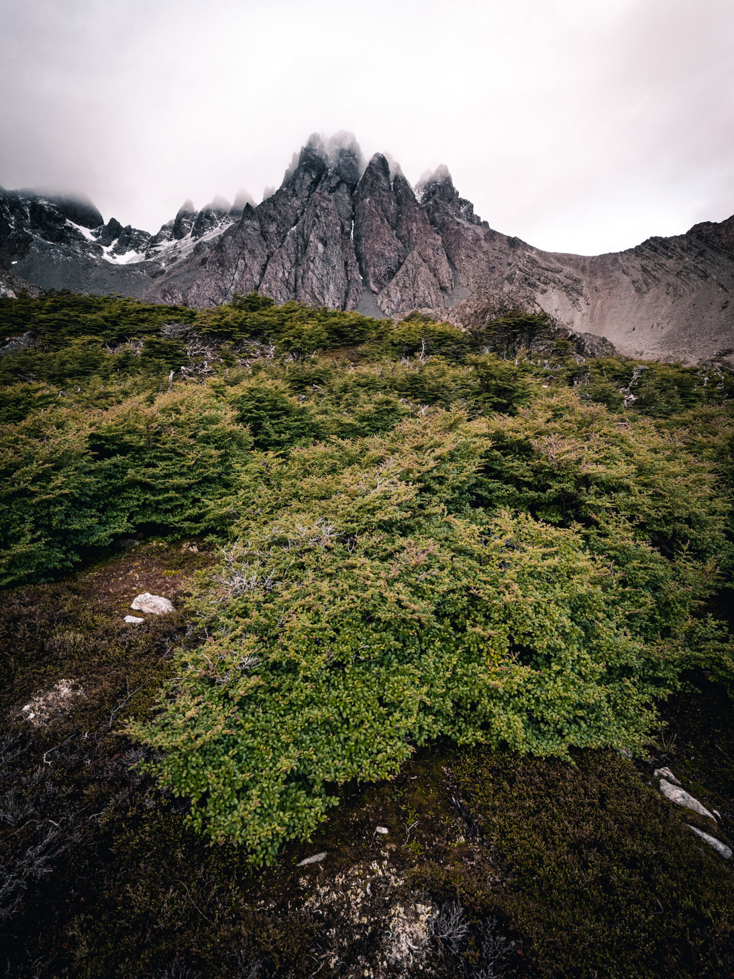 Ruta Patrimonial Dientes de Navarino. Créditos: ©Benjamín Valenzuela Wallis