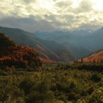 Alto Maule en invierno: un paraíso de bosques anaranjados y nieve