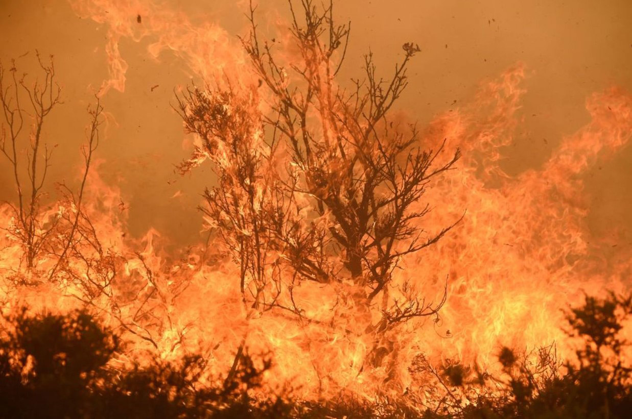 Incendio al noroeste de España. Créditos a Miguel Rioca/AFP vía Getty