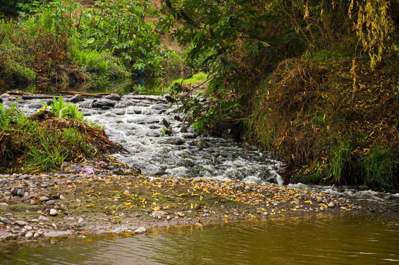 Río Mapocho en Biocorredor Mapocho El Trebal, créditos @Alex Rodríguez
