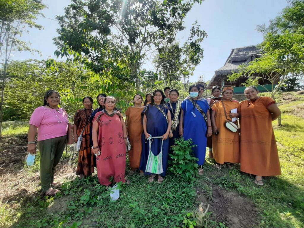 Durante la etapa más fuerte de la pandemia de COVID-19, mujeres de 20 pueblos indígenas de la Amazonía Peruana crearon un manual, huertos comunitarios y una farmacia indígena para atender esta y otras enfermedades. Foto: Programa Mujer de Aidesep.