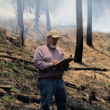 México | “El fuego es utilizado como un instrumento para eliminar bosque y reemplazarlo por cultivos comerciales”: entrevista a Enrique Jardel
