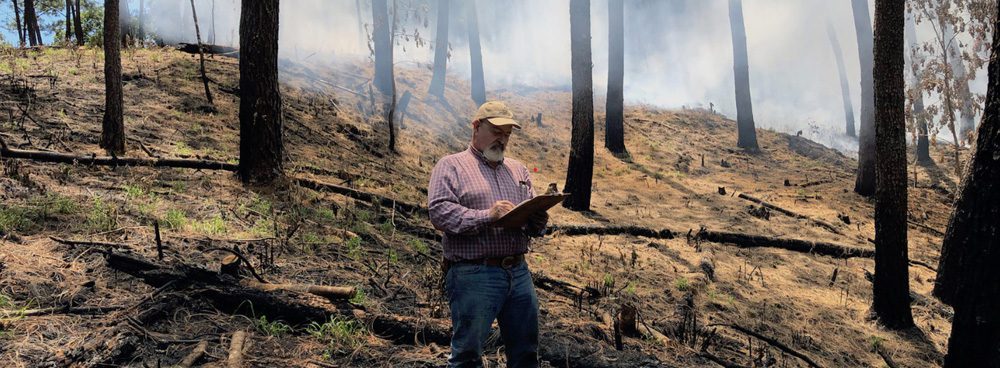 México | “El fuego es utilizado como un instrumento para eliminar bosque y reemplazarlo por cultivos comerciales”: entrevista a Enrique Jardel