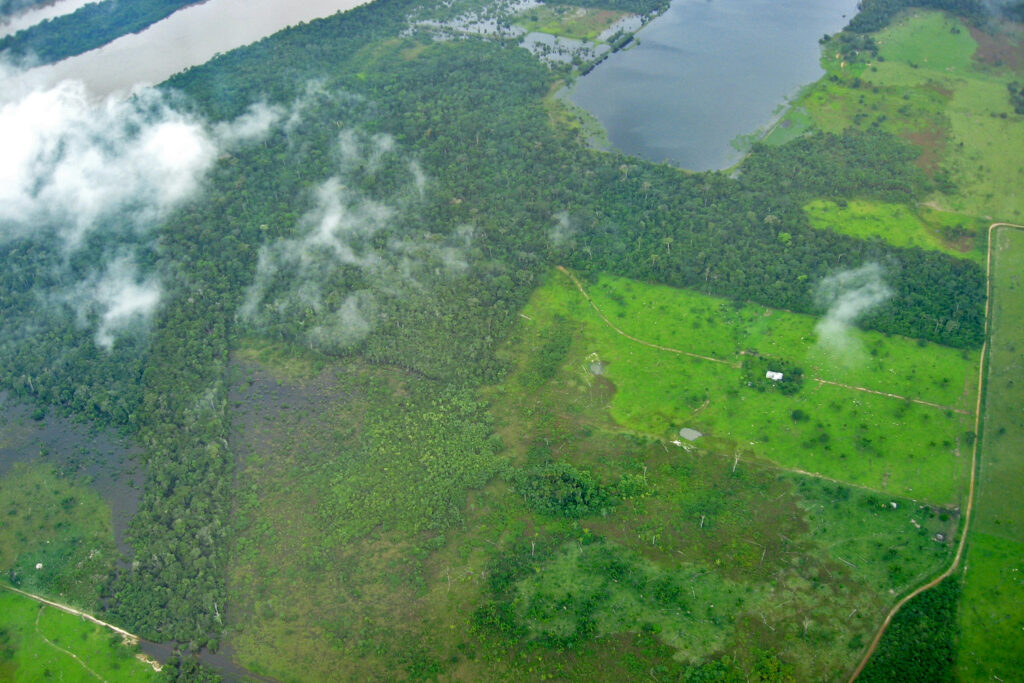 Vista aérea de la deforestación en la Amazonía brasileña. Tomada desde una pequeña aeronave utilizada para medir las emisiones de carbono. Foto: Luciana Gatti.