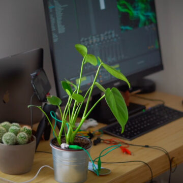 Proyecto Botánika: una interesante propuesta que transmite el comportamiento eléctrico de las plantas a través de sonidos
