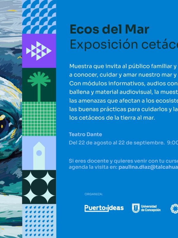 Exposición de cetáceos y documentales de diversidad marina estarán presentes en el Festival Puerto de Ideas Biobío 2022