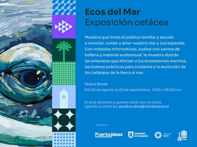 Exposición de cetáceos y documentales de diversidad marina estarán presentes en el Festival Puerto de Ideas Biobío 2022