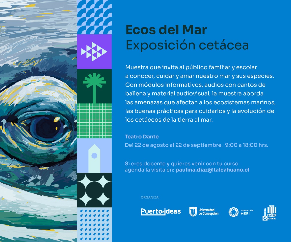 Exposición de cetáceos y documentales de diversidad marina estarán presentes en el Festival Puerto de Ideas Biobío 2022