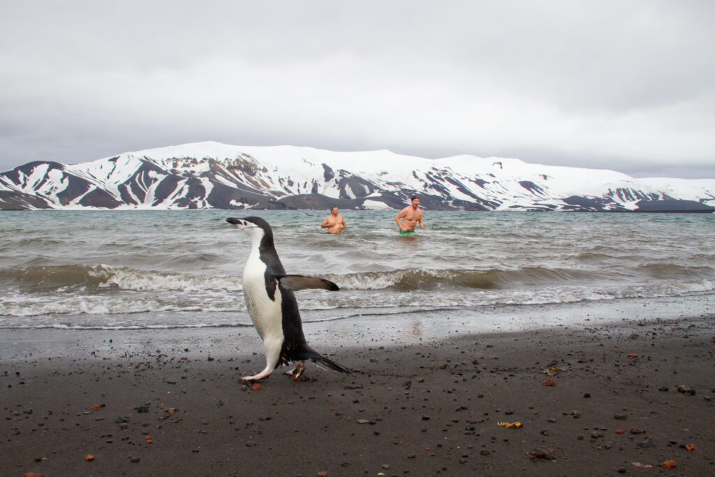 Interaccciónde seres humanos con pingüino. Foto: Evelyn Pfeiffer.