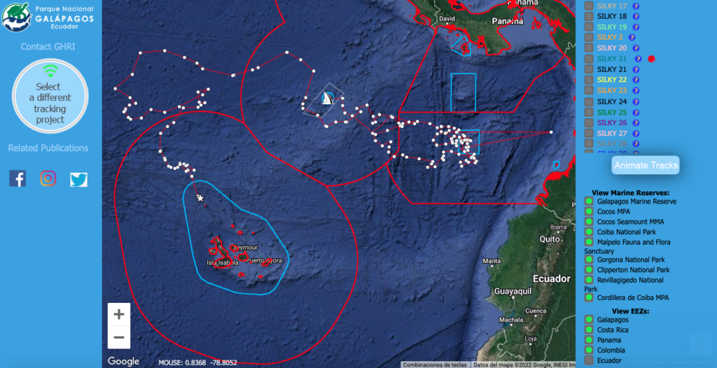 Trayecto del tiburón sedoso Silky 1. La información satelital muestra que visitó las áreas marinas protegidas Isla Coco y Malpelo. Revisa los trayectos de los 47 tiburones en este enlace: https://www.ghritracking.org/