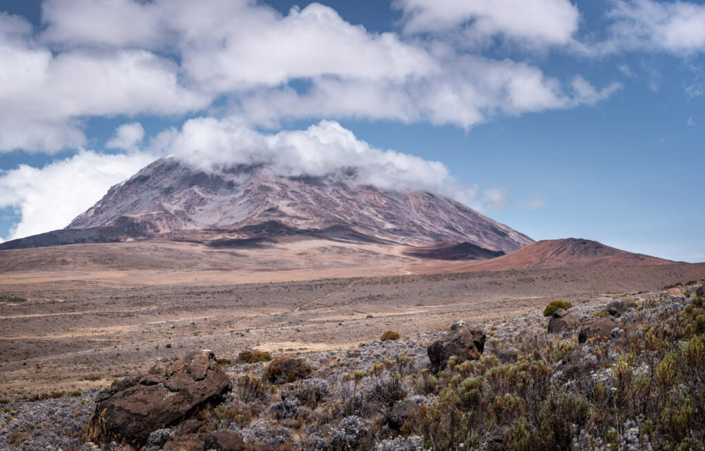 Vista del Kilimanjaro desde abajo. Créditos a Moira Johnson.