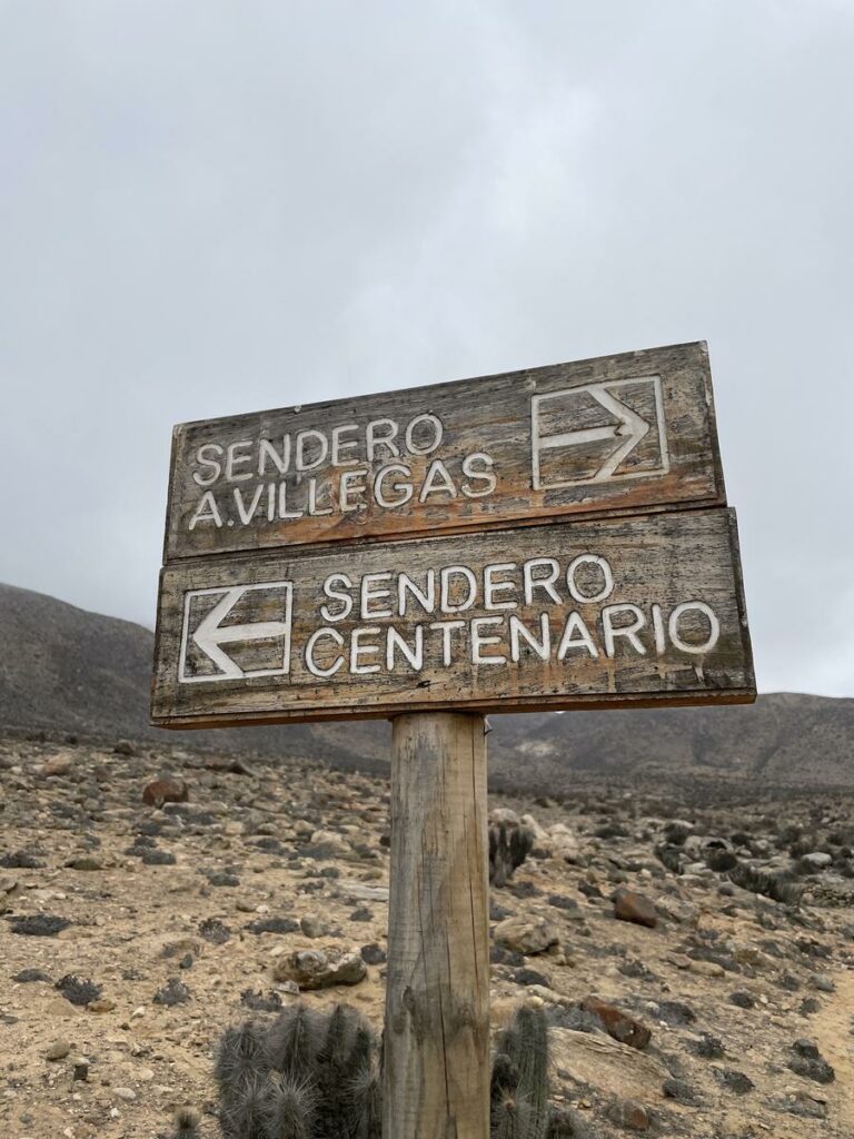 Señalética del sendero. Créditos: Atacama a Pie.