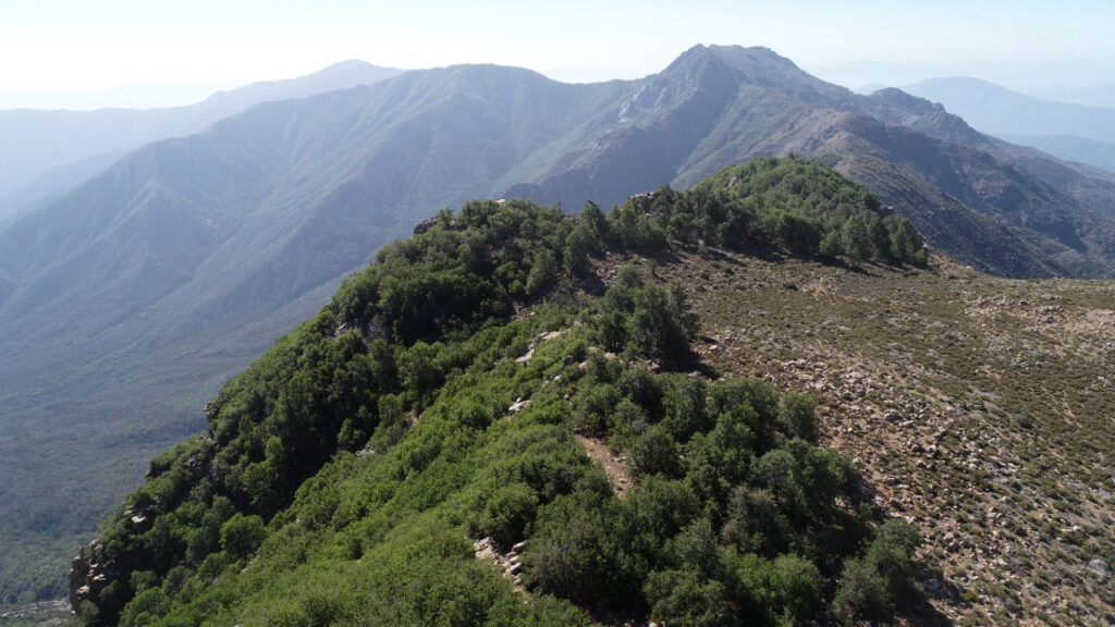 Vista aérea de la reserva. Créditos: Reserva natural Altos de Cantillana.