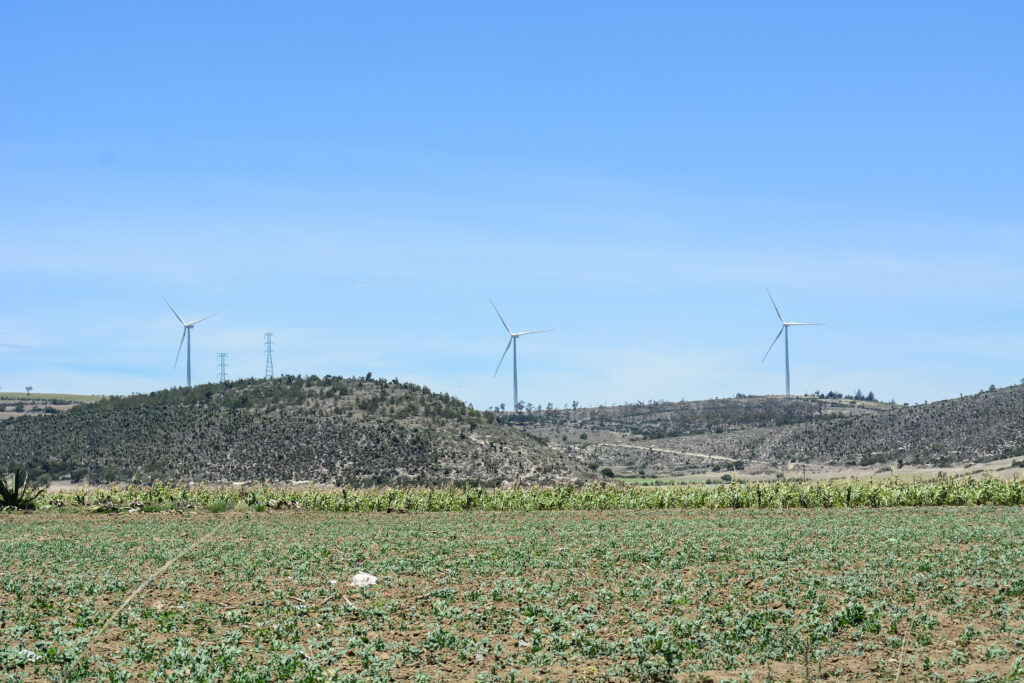 Cultivos en las faldas del parque eólico de Esperanza. Foto_ Alma Xochitl Zamora.