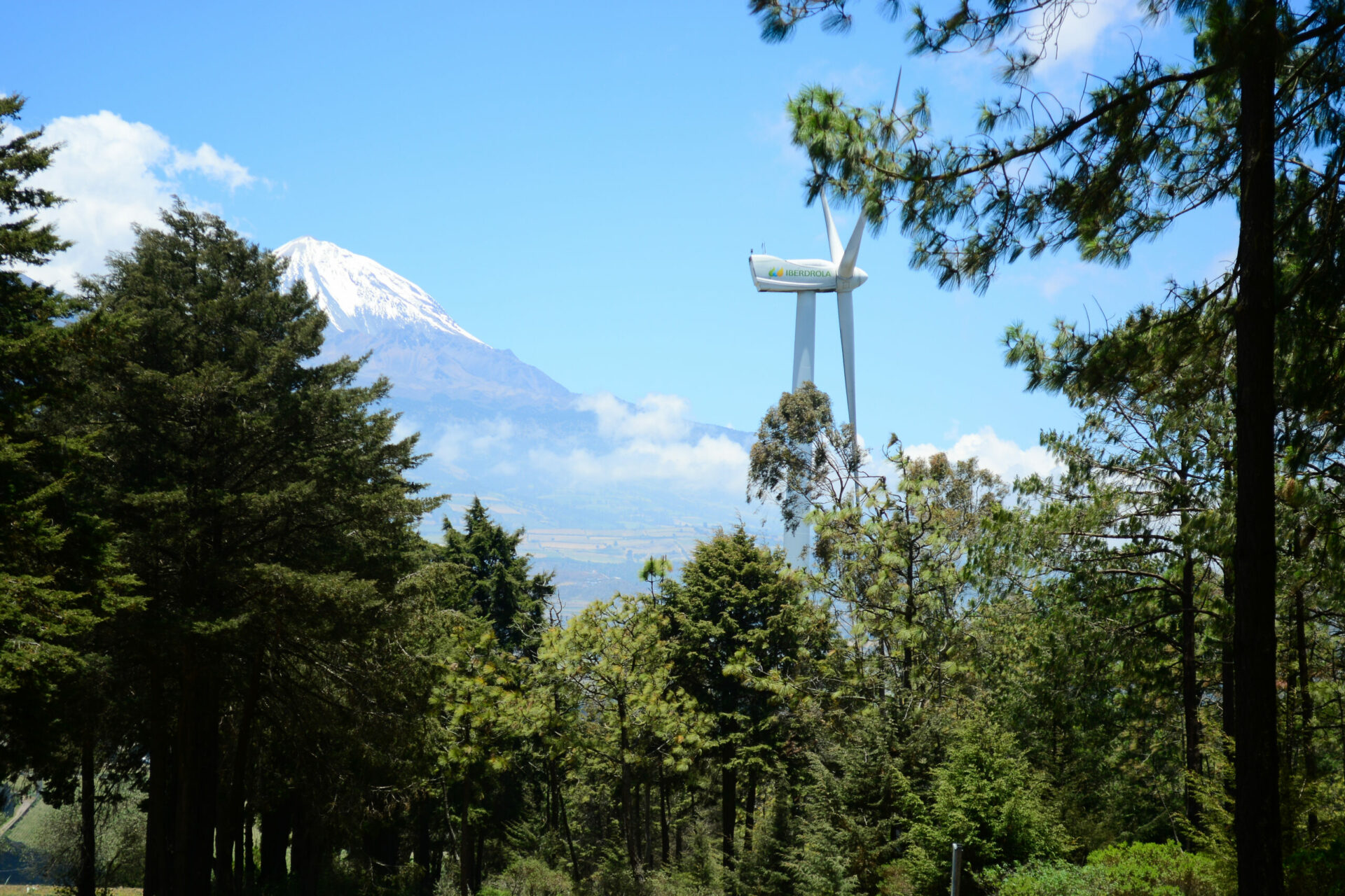 Parques eólicos: lejos de la transición justa en comunidades de México