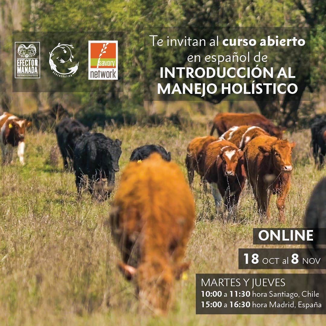 Curso de introducción al manejo holístico