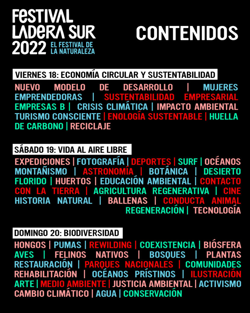Afiche oficial de contenidos Festival Ladera Sur