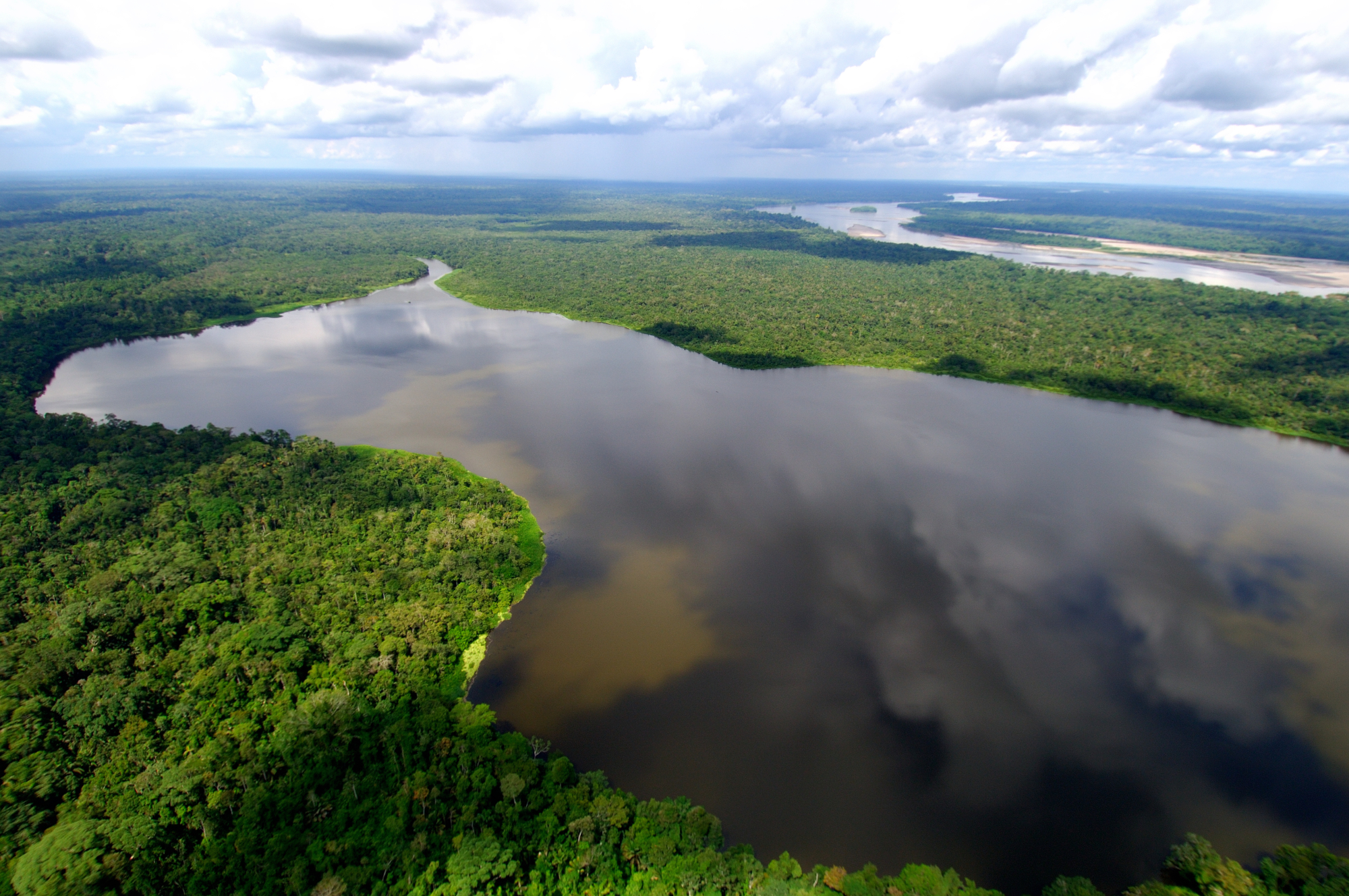 La Amazonía ecuatoriana ha perdido más de 623 mil hectáreas en dos décadas