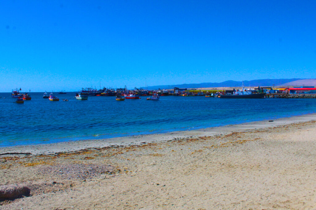 Playa Mansa, Caldera. Créditos: ©Tamara Nuñez