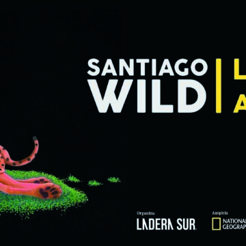 Festival de Cine Santiago Wild abre 12 becas para Laboratorio Audiovisual a cineastas latinoamericanos