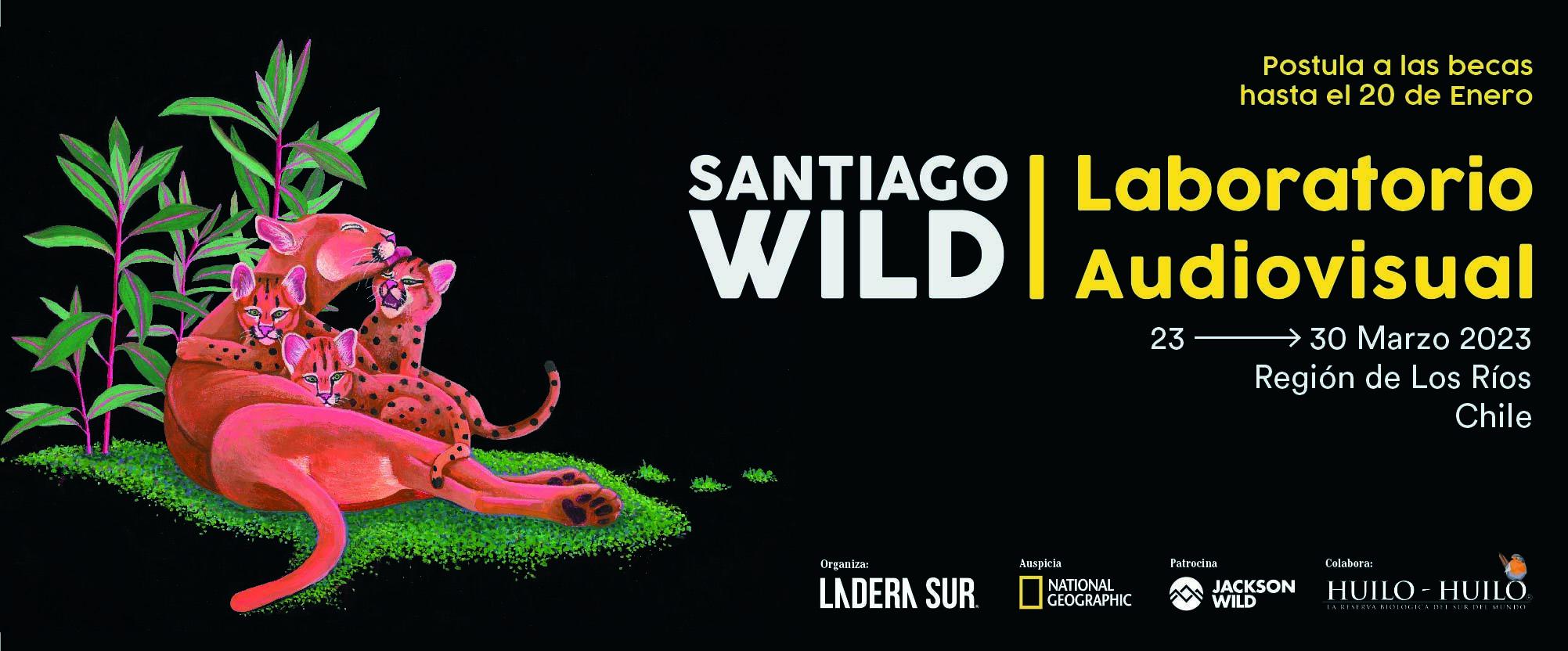 Festival de Cine Santiago Wild abre 12 becas para Laboratorio Audiovisual a cineastas latinoamericanos
