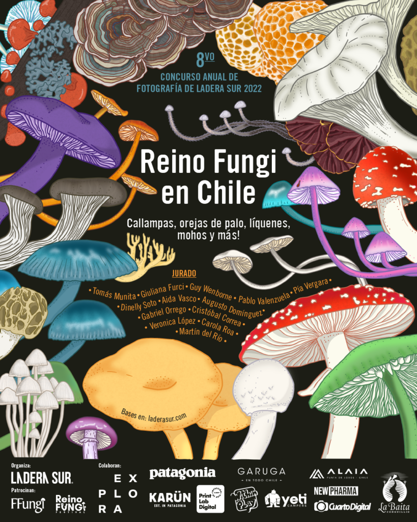 Afiche concurso Reino Fungi