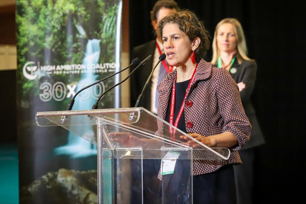 Maisa Roja, ministra de Medio Ambiente en COP15. Créditos: MMA