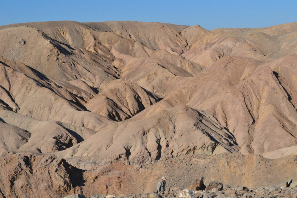Áreas de interés paleontológico. Desierto de Atacama @Jennyfer Rojas