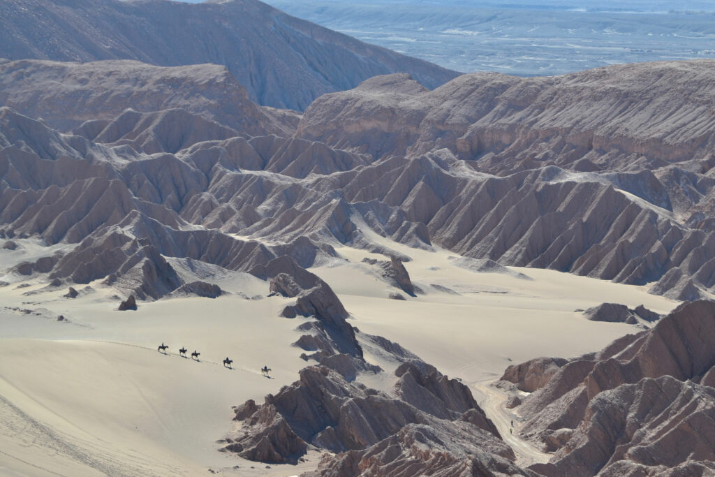 Desierto de Atacama. Créditos: Felipe Howard