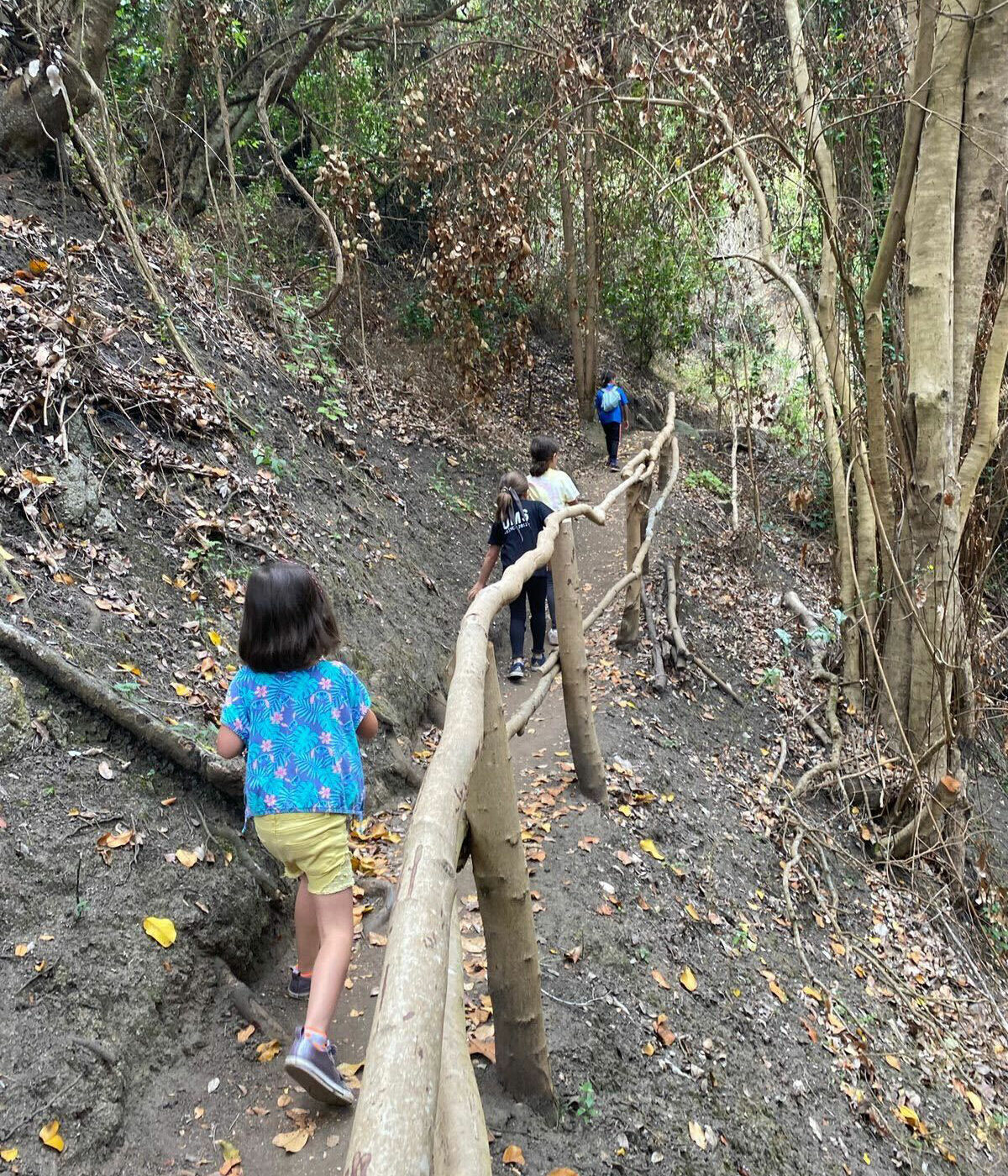 <strong>5 rutas de trekking para hacer con niños en Chile</strong>