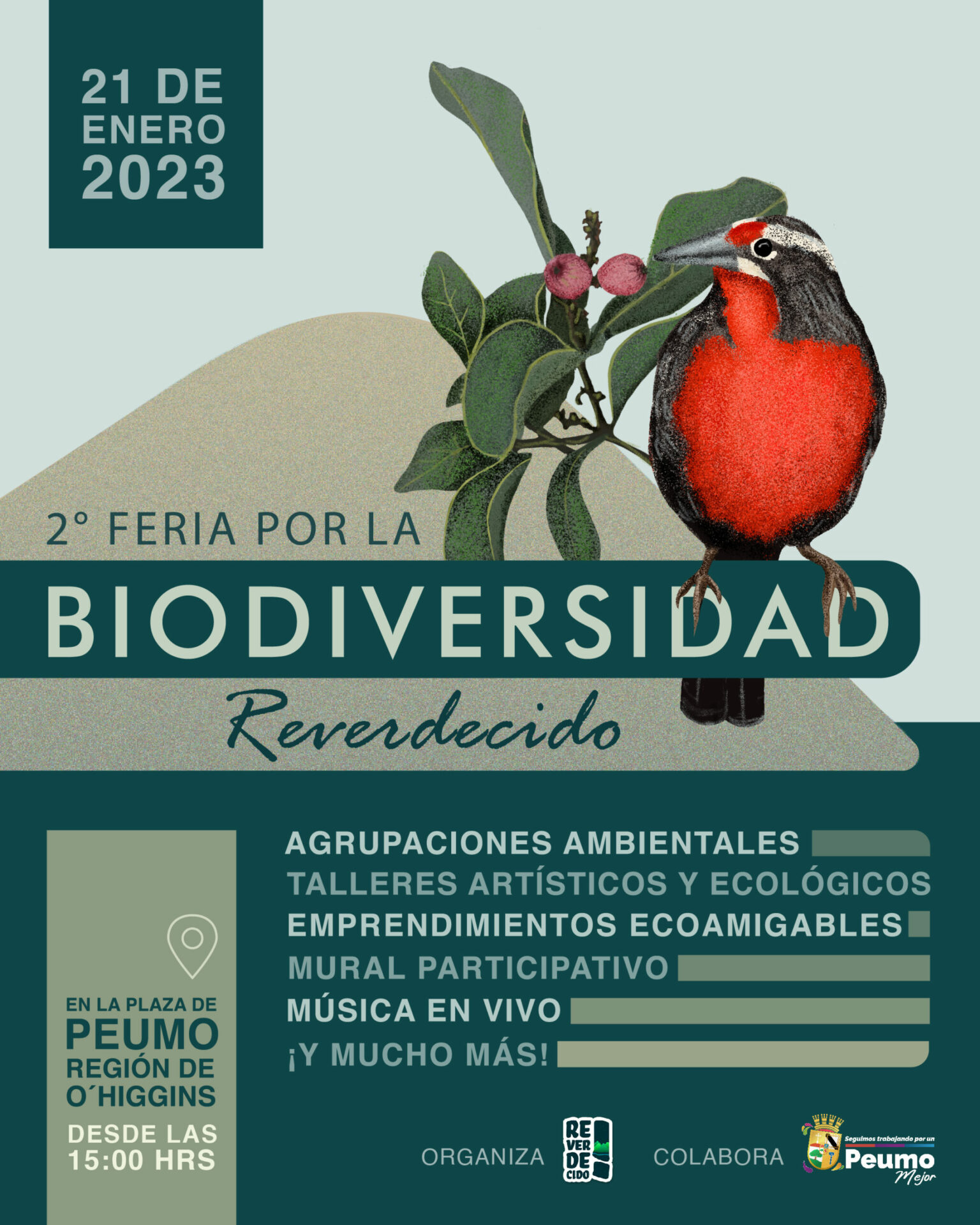 Reverdecido y la feria por la biodiversidad que inundan la Región de O’Higgins