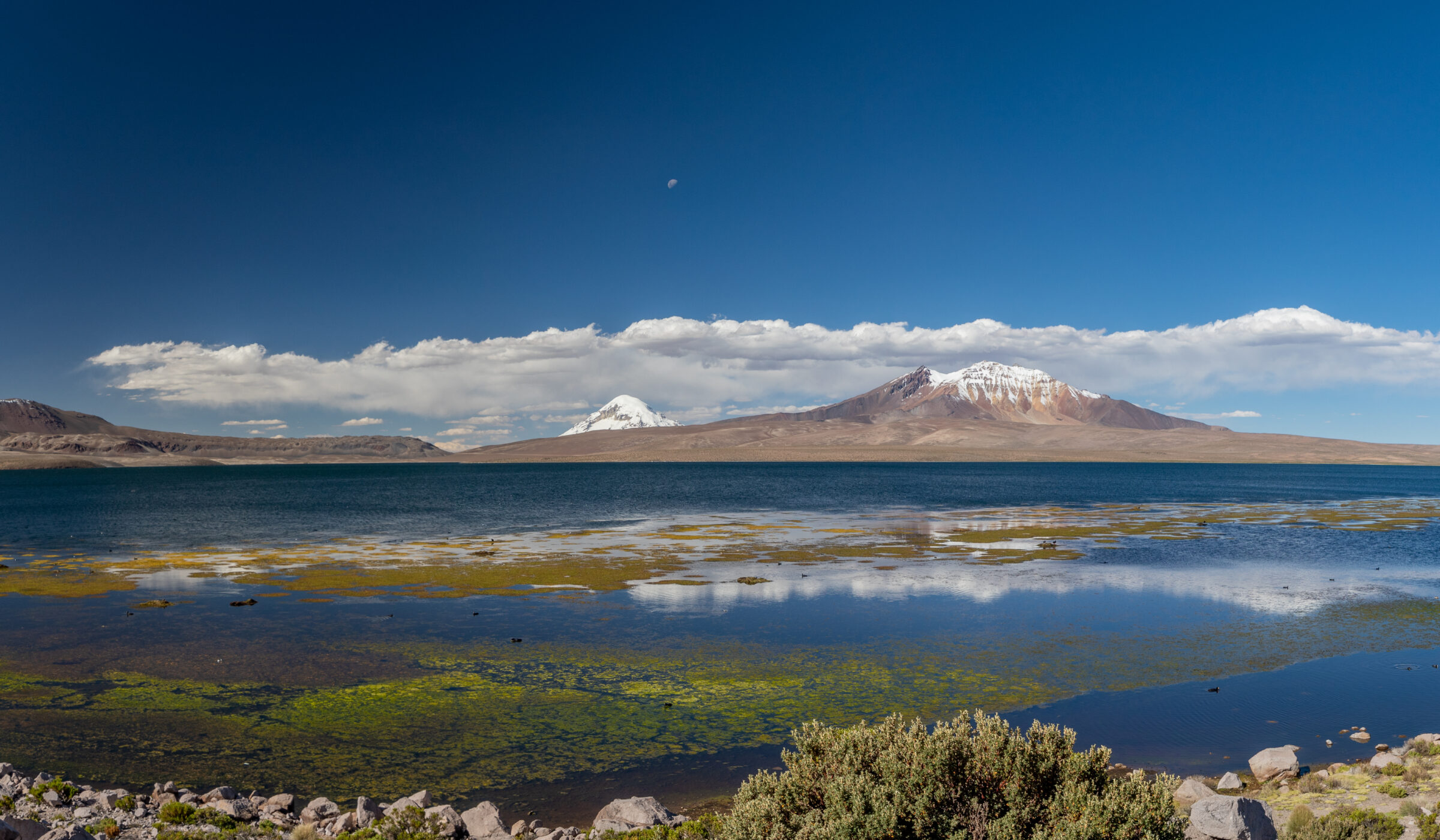 <strong>¡Altiplano en peligro! El territorio que muchos codician y que pocos están cuidando</strong>