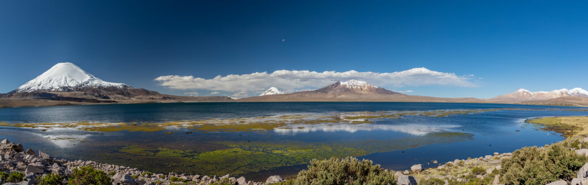 <strong>¡Altiplano en peligro! El territorio que muchos codician y que pocos están cuidando</strong>