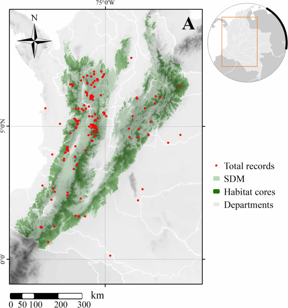 Distribución de registros totales obtenidos para Leopardus tigrinus sobre distribución potencial (SDM) en Colombia y núcleos de hábitat restantes. Mapa creado usando ArcGIS.