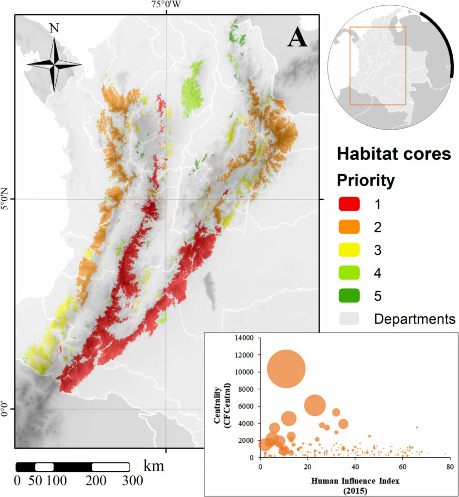 (A) Priorización de los núcleos de hábitat restantes para L. tigrinus en Colombia y (B) relación entre la influencia humana (eje X), la importancia de la conectividad (centralidad; eje Y) y el tamaño del núcleo (tamaño de la burbuja) de todos los núcleos de hábitat. Mapa creado usando ArcGIS.
