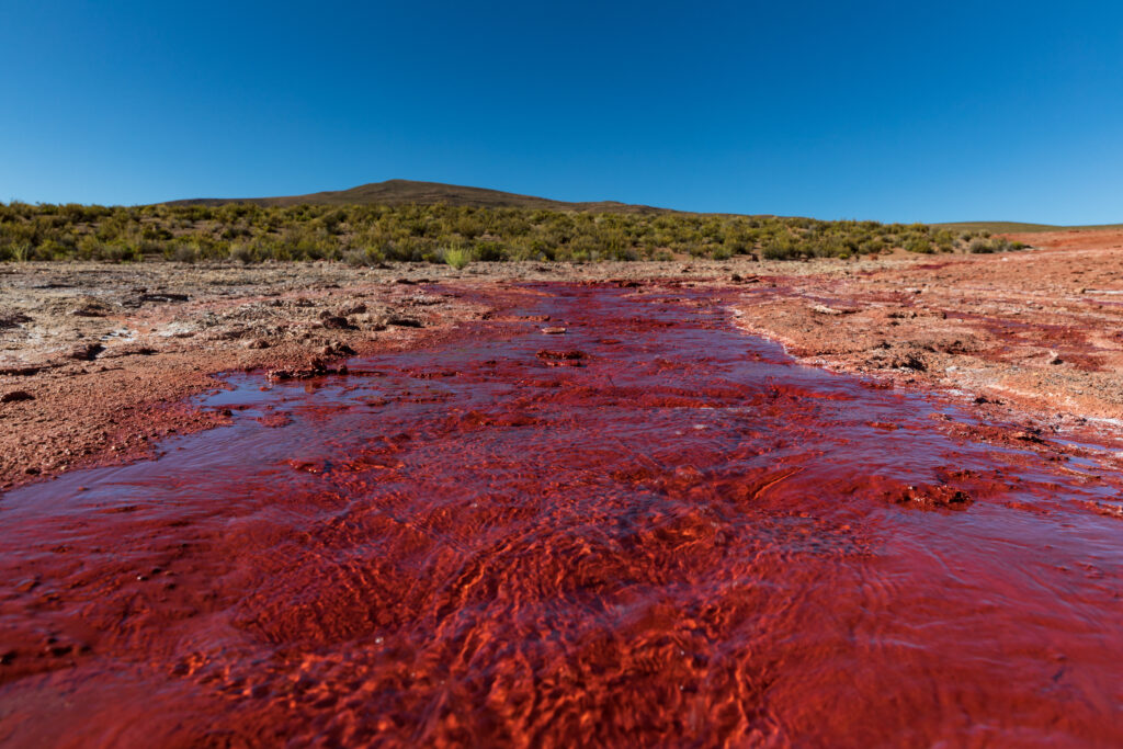 Laguna Roja, Región de Arica y Parinacota. Créditos: ©Evelyn Pfeiffer