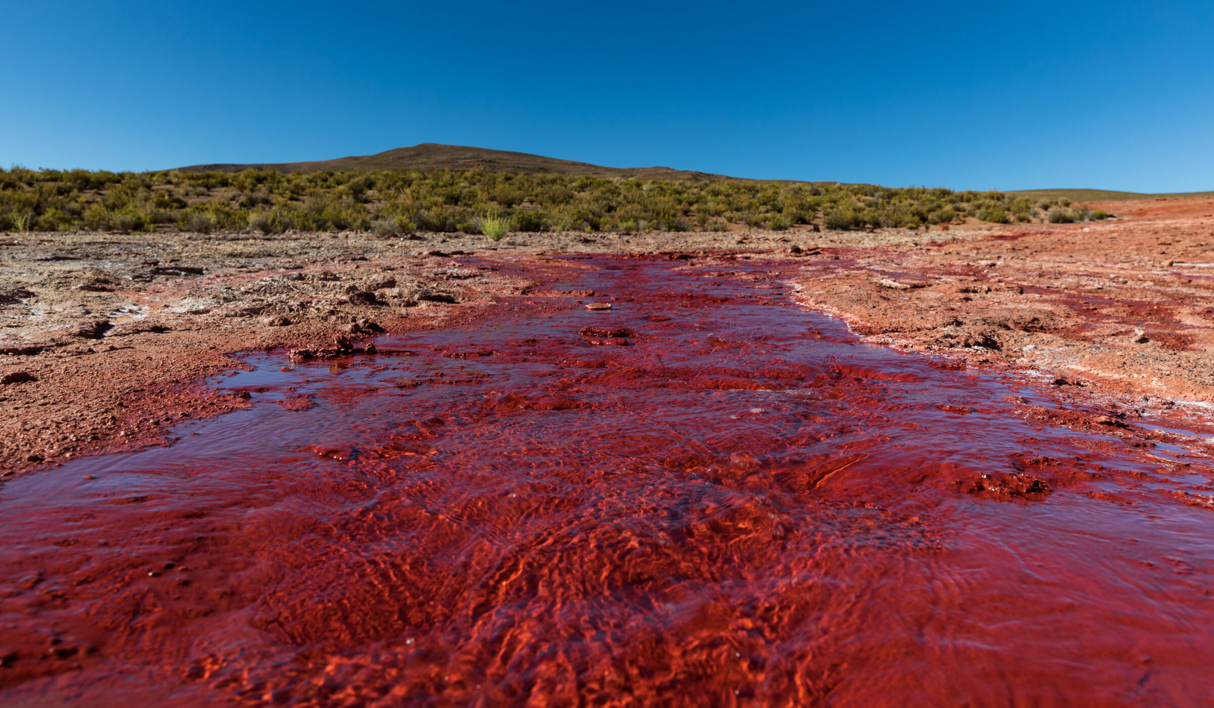 Ríos del norte: Los milagros del desierto