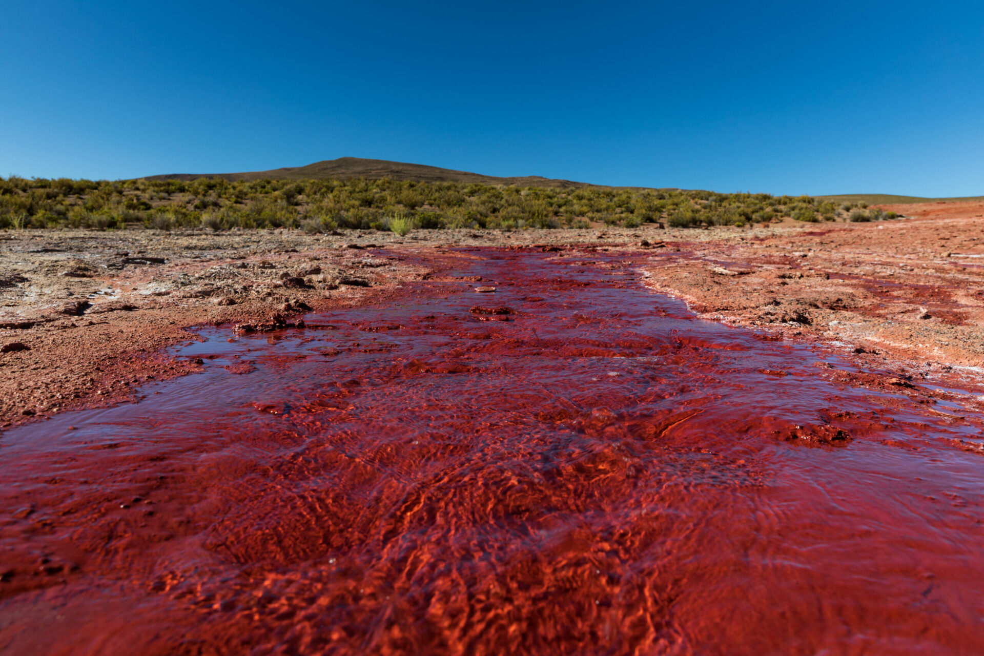 Ríos del norte: Los milagros del desierto