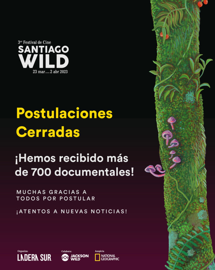 Postulaciones Santiago Wild