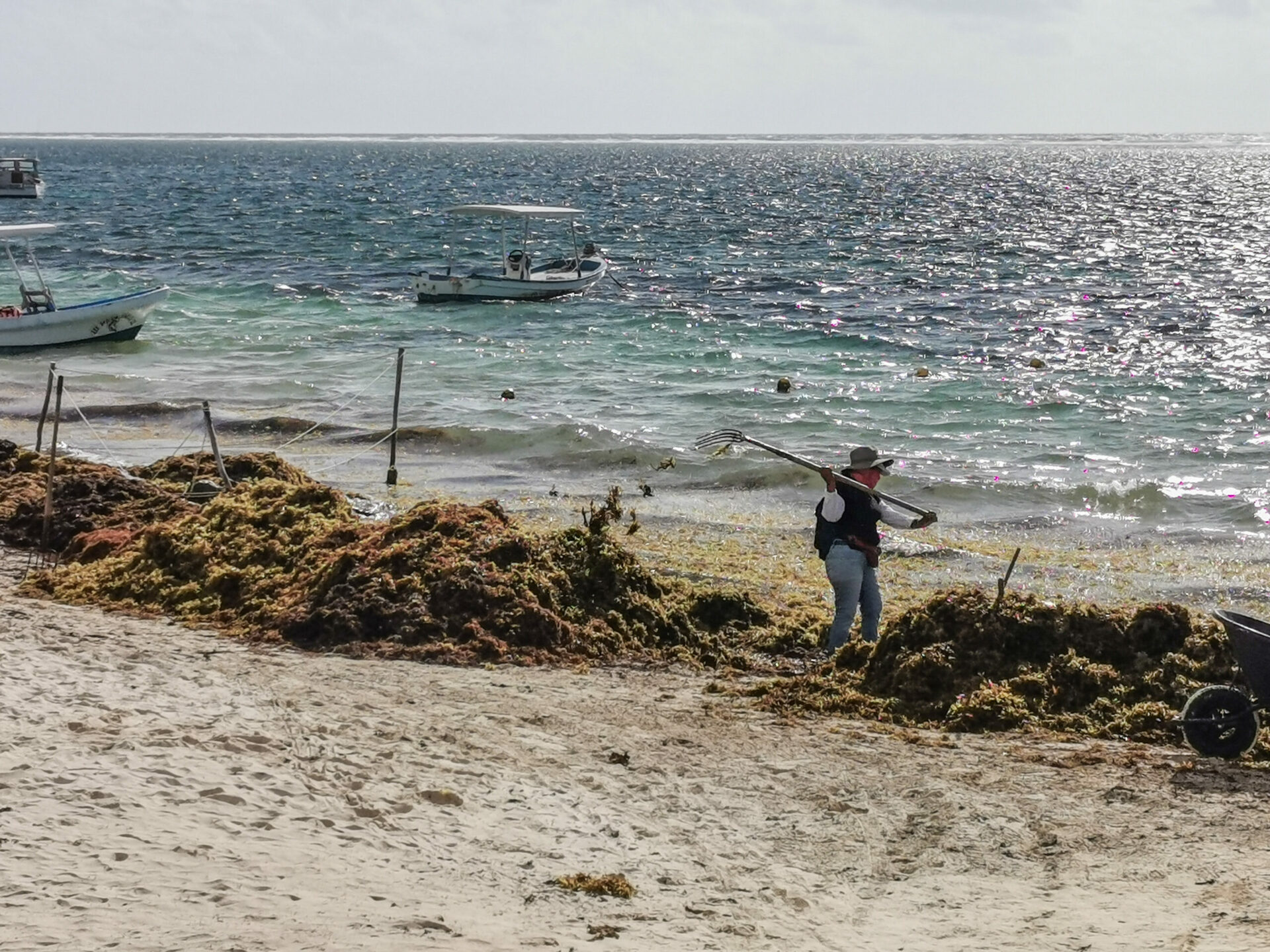 Sol, mar…y sargazo: cómo la energía puede rescatar al paraíso mexicano